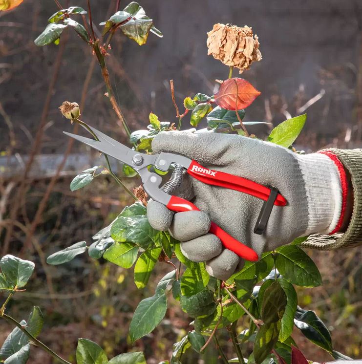 قیچی میوه چین رونیکس 3150