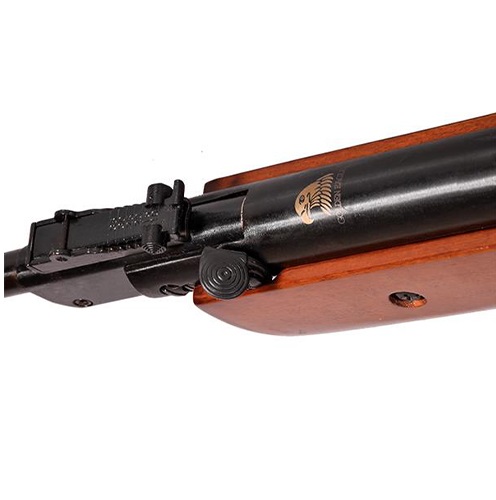 تفنگ بادی 5.5 گلدن ایگل B2-4