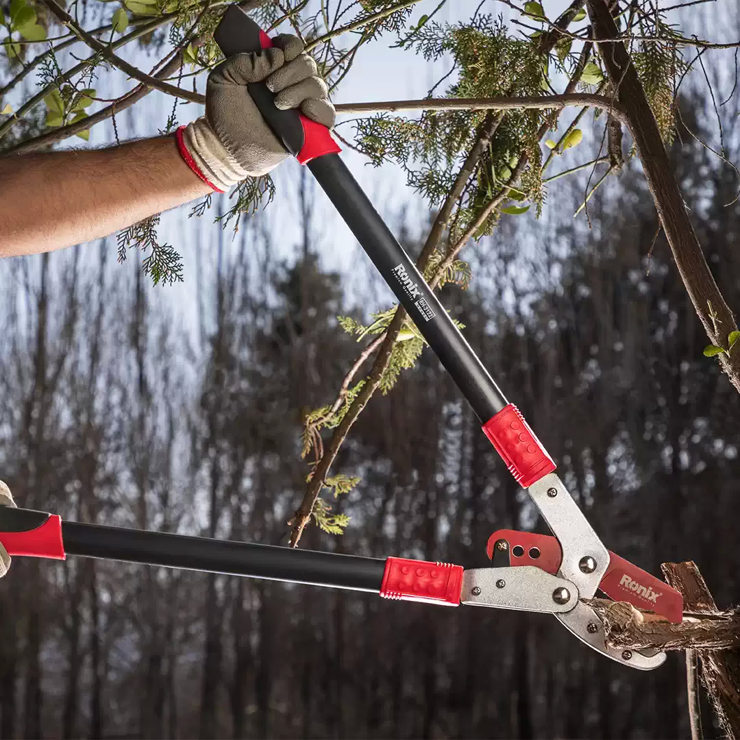 قیچی شاخه زن 3122 رونیکس