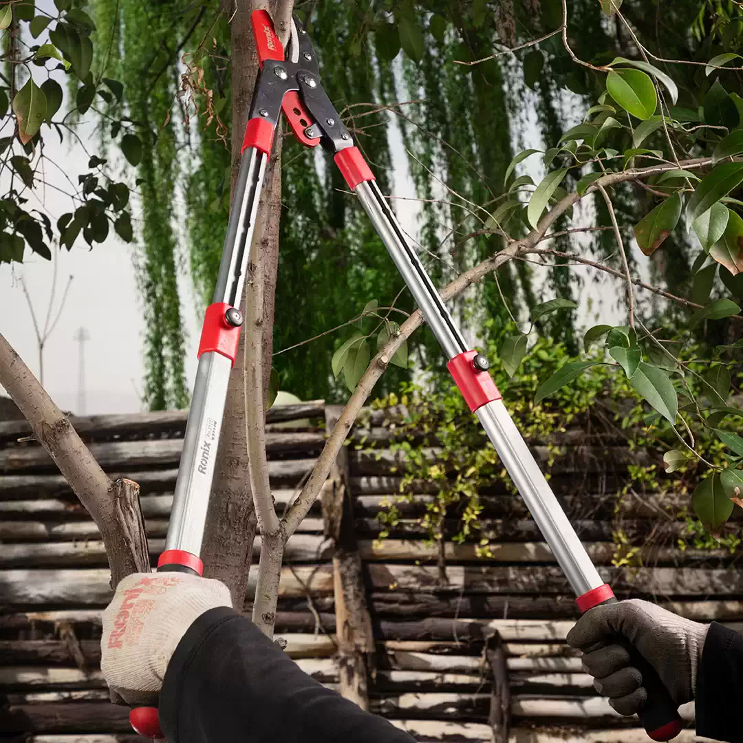 قیچی شاخه زن تلسکوپی رونیکس 3121